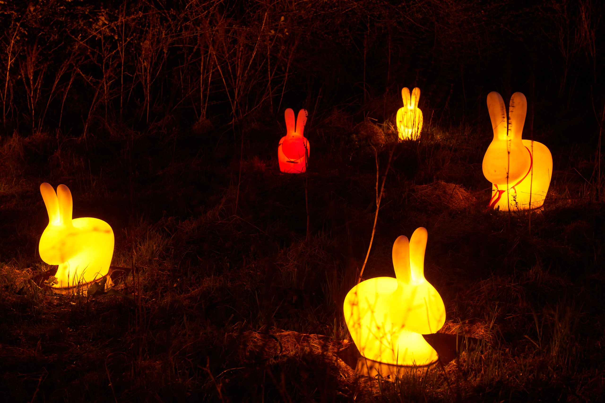 2024 02 23 Parkleuchten 0302